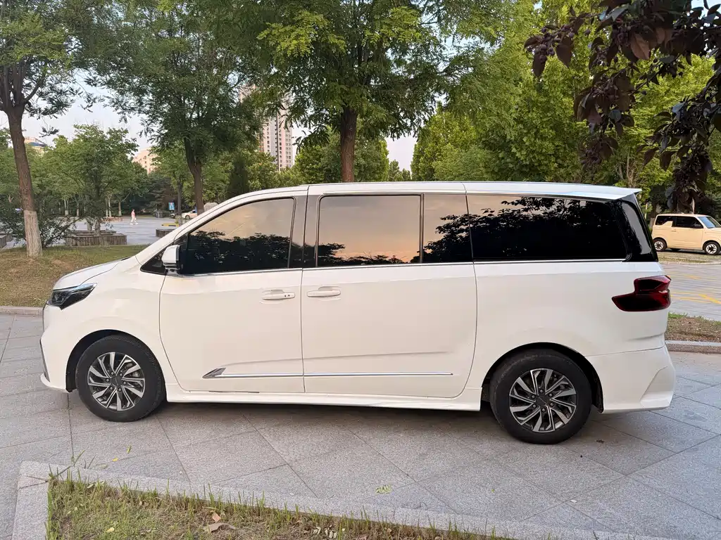 Maxus G20 2019