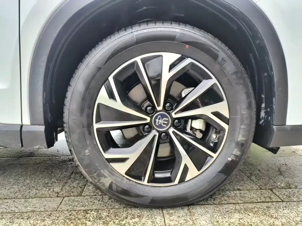 BYD Pro New Energy 2025 — фото 21