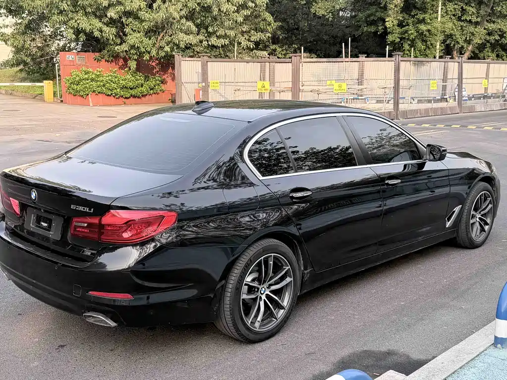 BMW 5 Series 2017 — фото 16