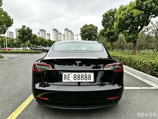Tesla Model 3 2021