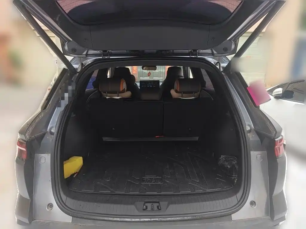 BYD Pro New Energy 2023 — фото 10