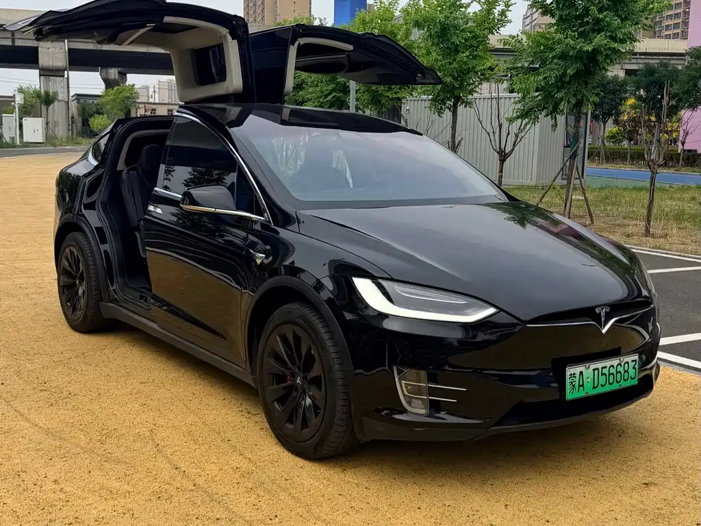 Tesla Model X 2019 — фото 9