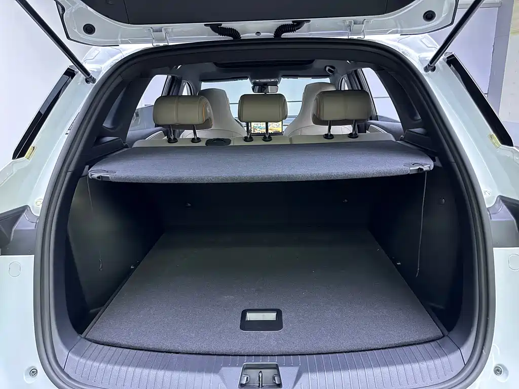 BYD Song Pro New Energy 2024 — фото 14