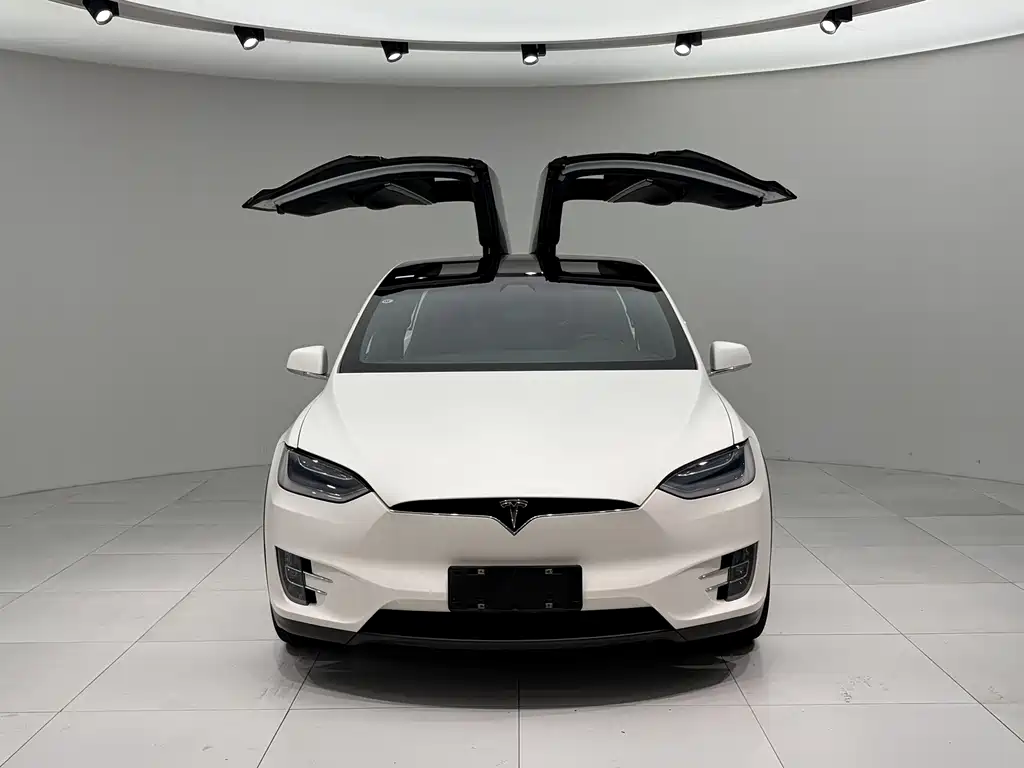 Tesla Model X 2018 — фото 2