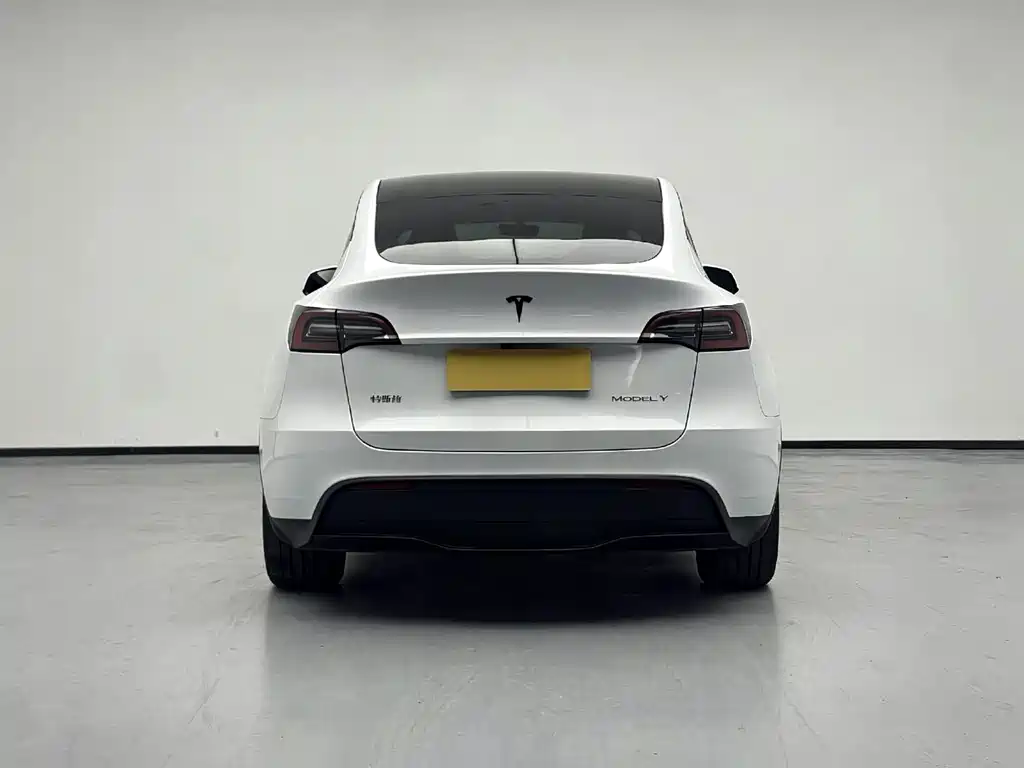 Tesla Model Y 2024 — фото 3