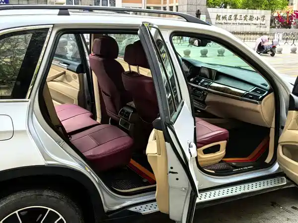 BMW X5 2009