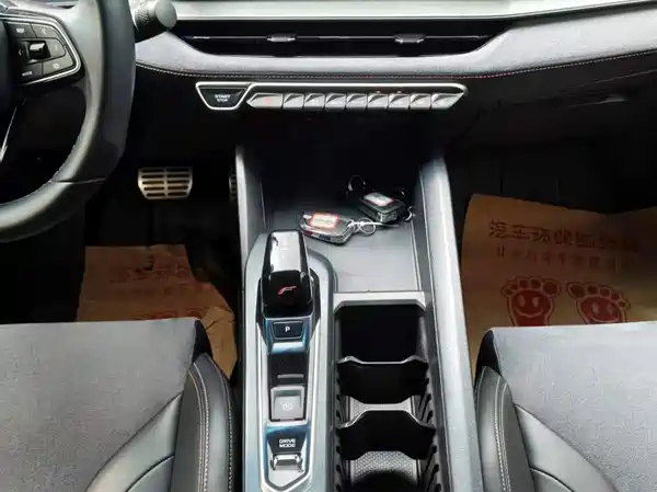 Geely Binrui 2022