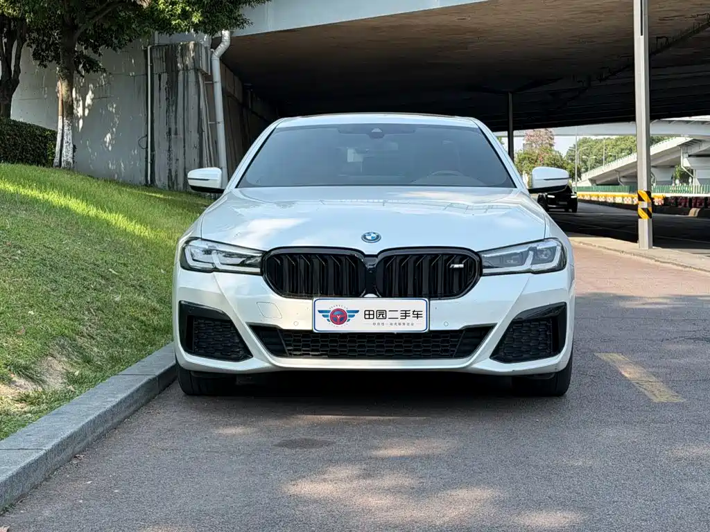 BMW 5 Series New Energy 2023