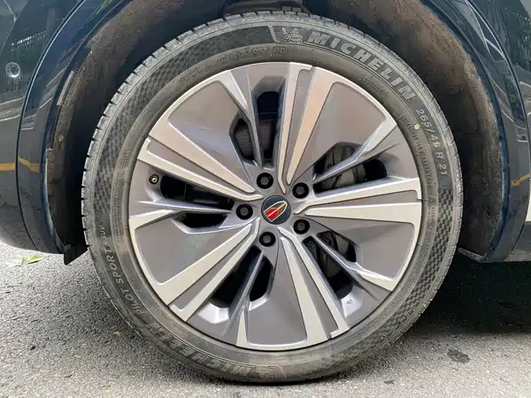 Hongqi E-HS9 2023