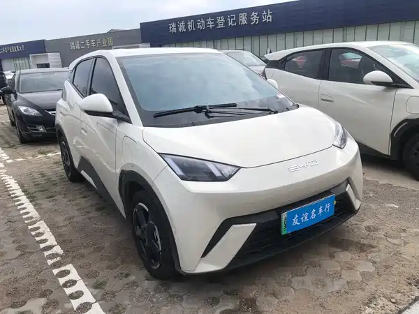 BYD Seagull 2024