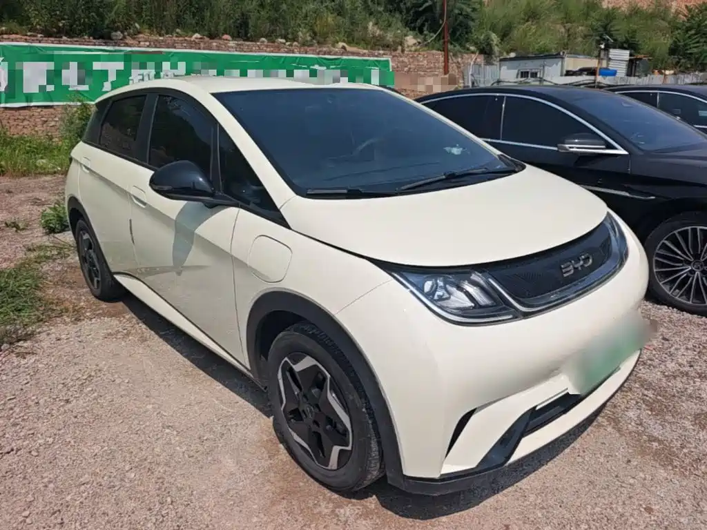 BYD Dolphin 2024