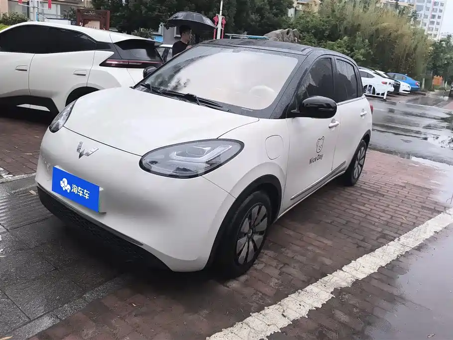 Wuling Bingo 2024