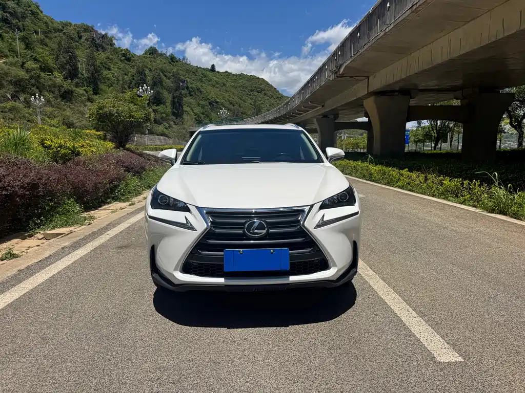 Lexus NX 2015 — фото 9