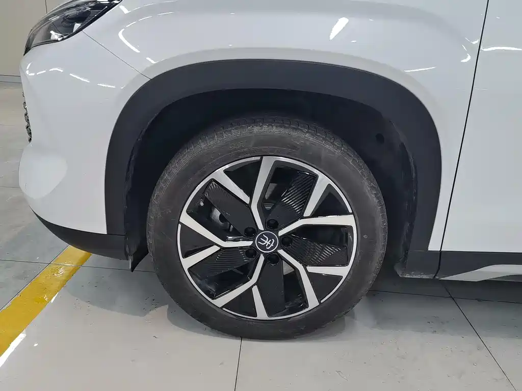 BYD L DM-i 2024 — фото 15