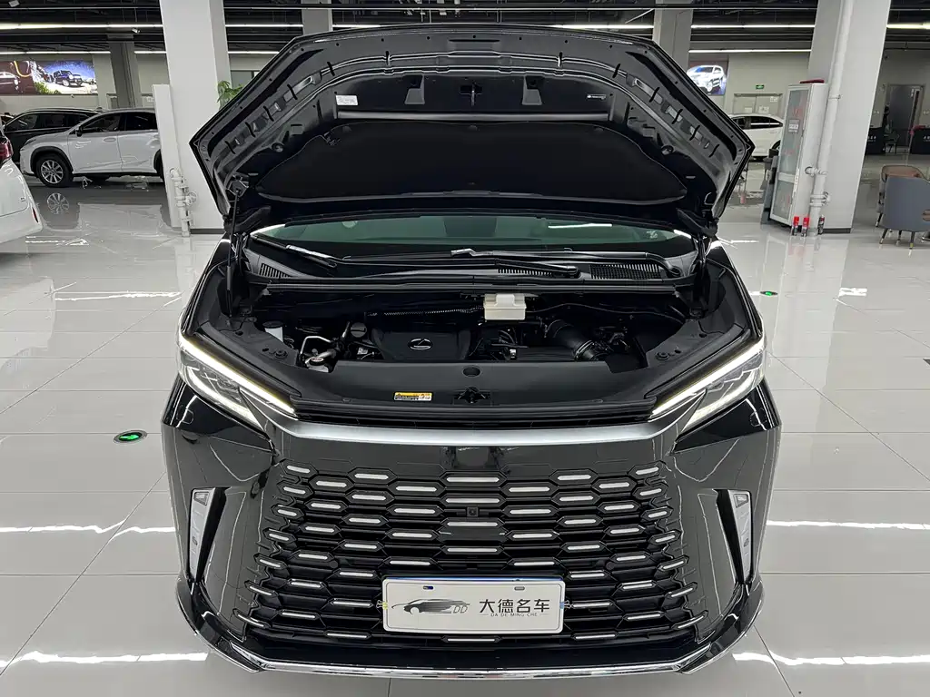 Lexus LM 2025 — фото 26