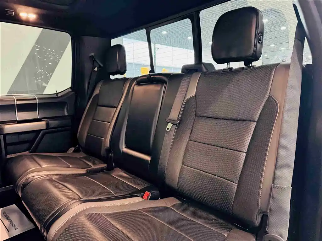 Ford F-150 Raptor 2020 — фото 11