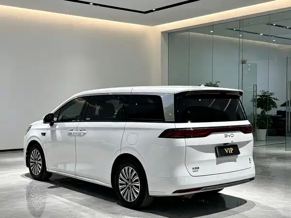 BYD Summer 2025