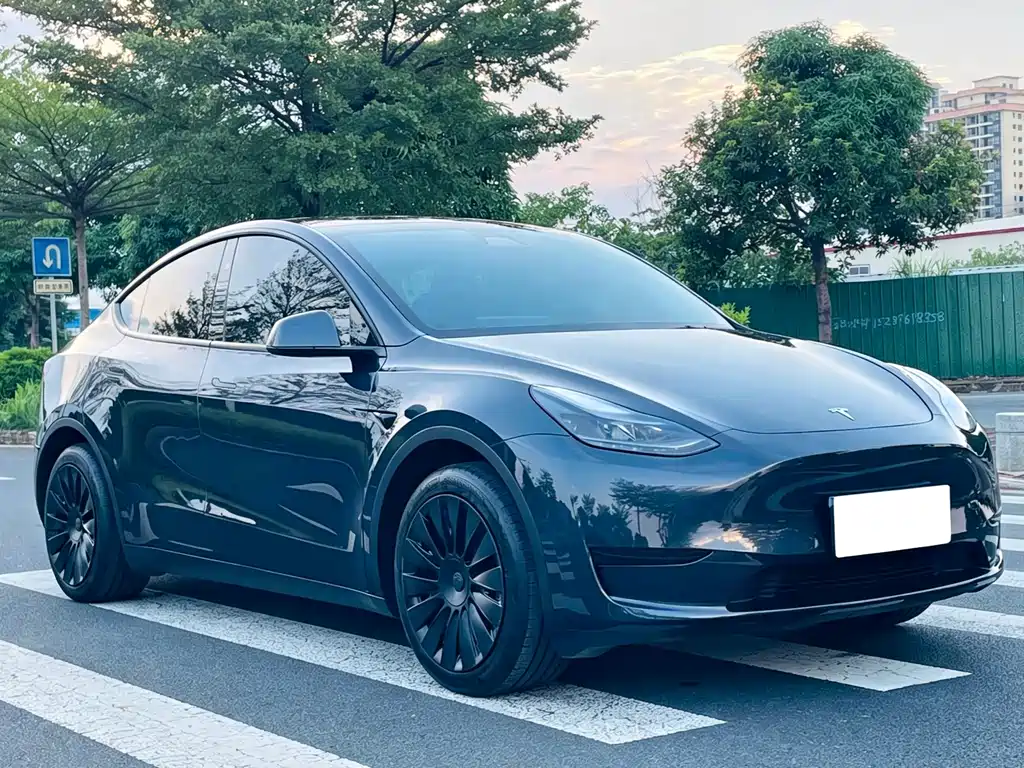 Tesla Model Y 2024 — фото 3