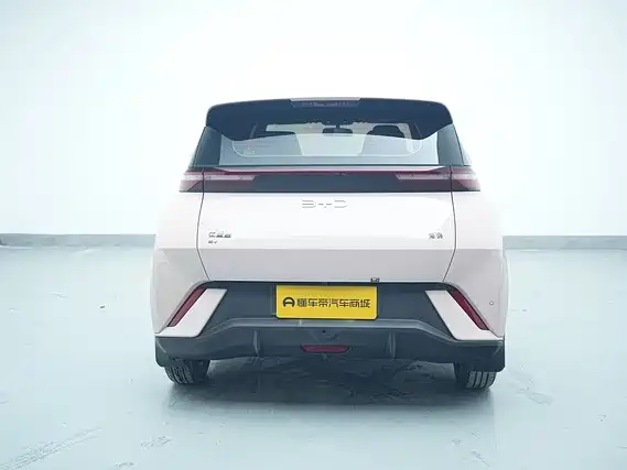 BYD Seagull 2024