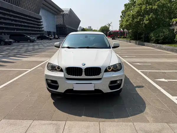 BMW X6 2014