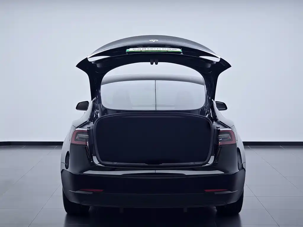 Tesla Model 3 2021 — фото 25