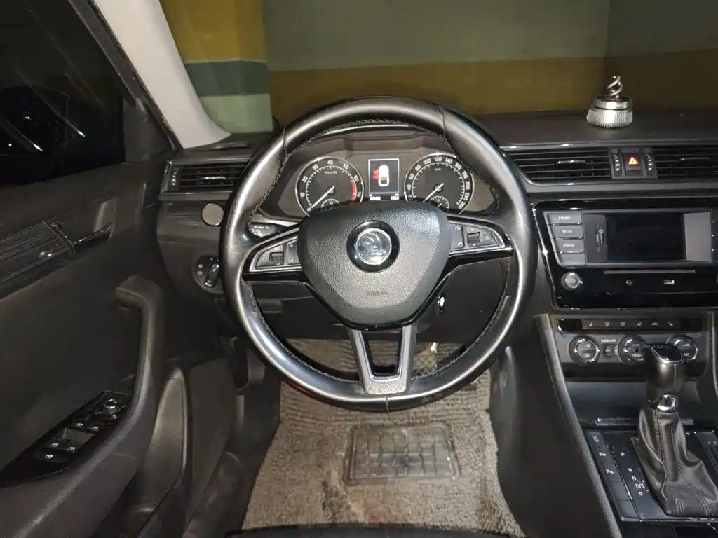 Skoda Speedy 2016