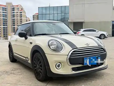 MINI MINI 2021