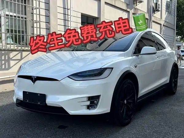 Tesla Model X 2019
