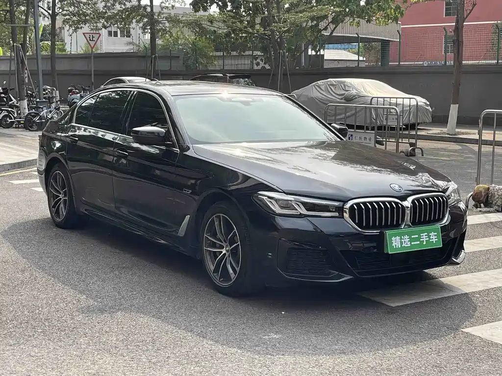 BMW 5 Series New Energy 2021