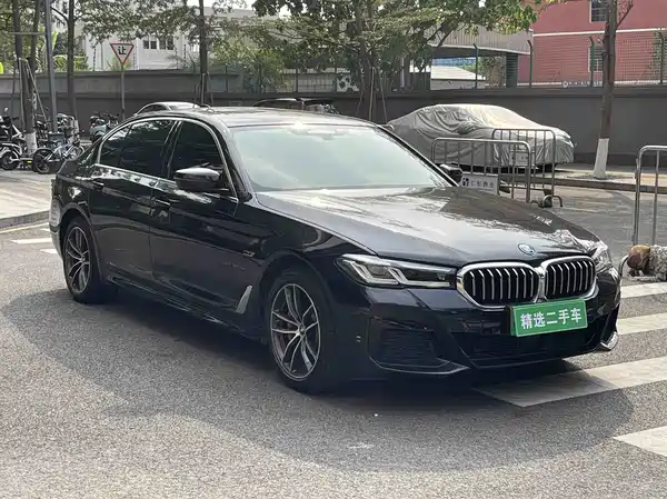 BMW 5 Series New Energy 2021
