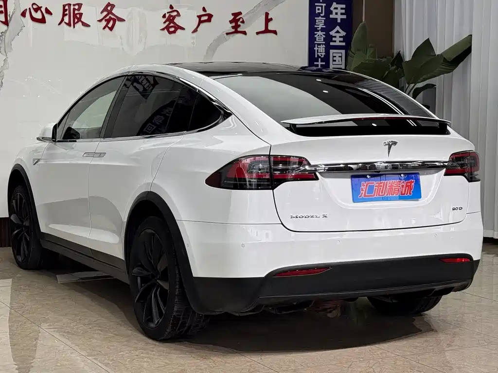 Tesla Model X 2016 — фото 4