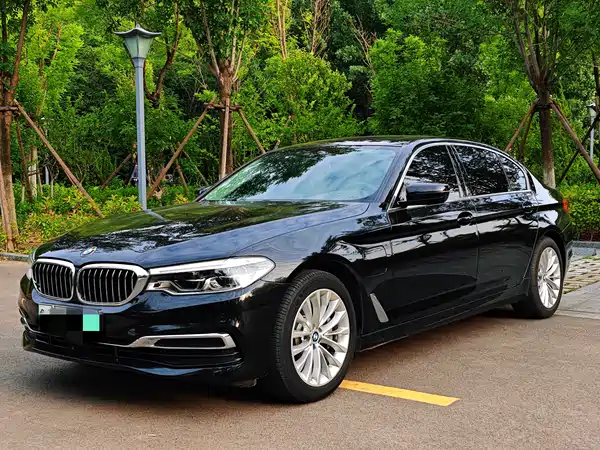 BMW 5 Series New Energy 2020