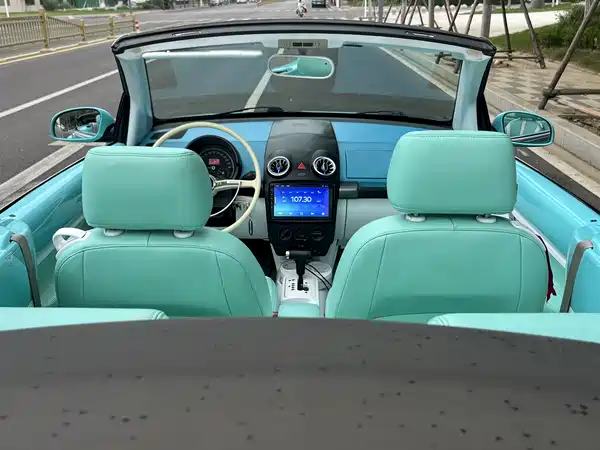 Volkswagen Beetle 2009