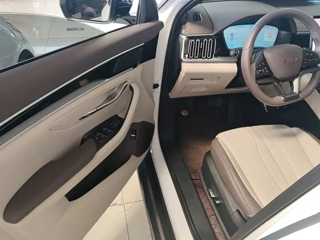 BYD PLUS New Energy 2024 — фото 16
