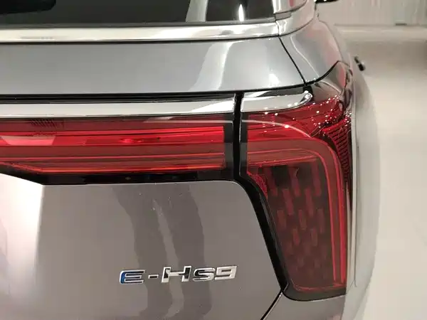 Hongqi E-HS9 2022