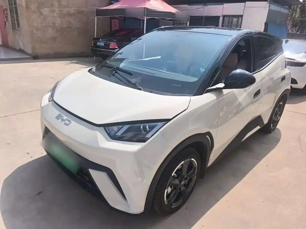 BYD Seagull 2024