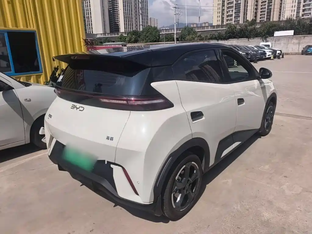 BYD Seagull 2024