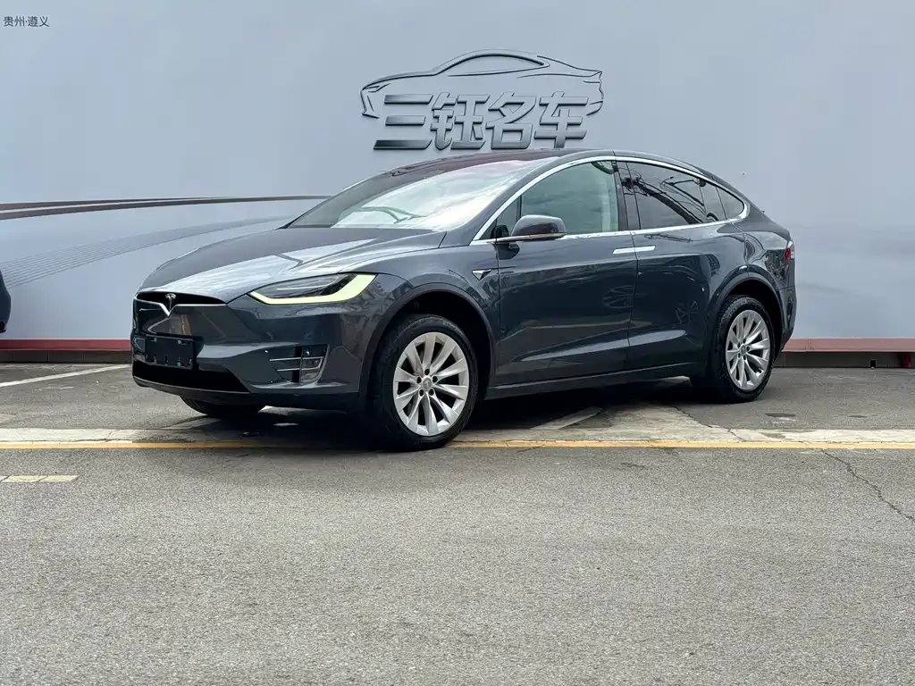 Tesla Model X 2019 — фото 1
