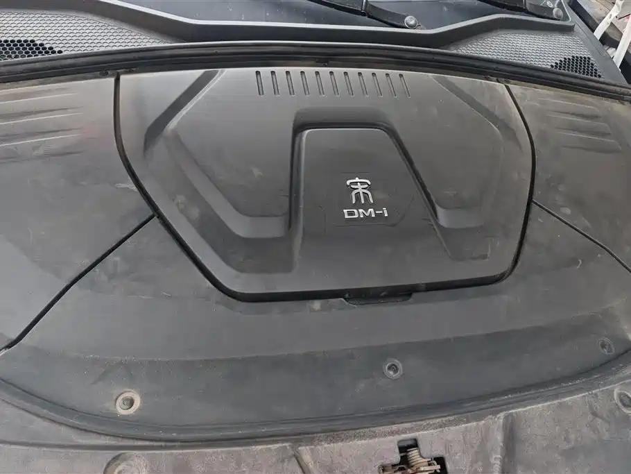 BYD PLUS New Energy 2022 — фото 10
