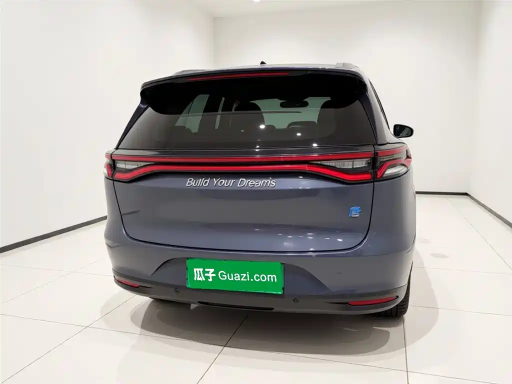 BYD Tang New Energy 2019 — фото 3