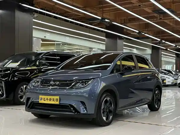 BYD Dolphin 2026