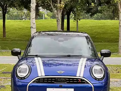 MINI MINI 2024