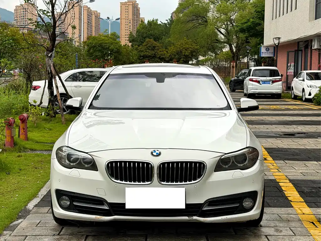 BMW 5 Series 2015