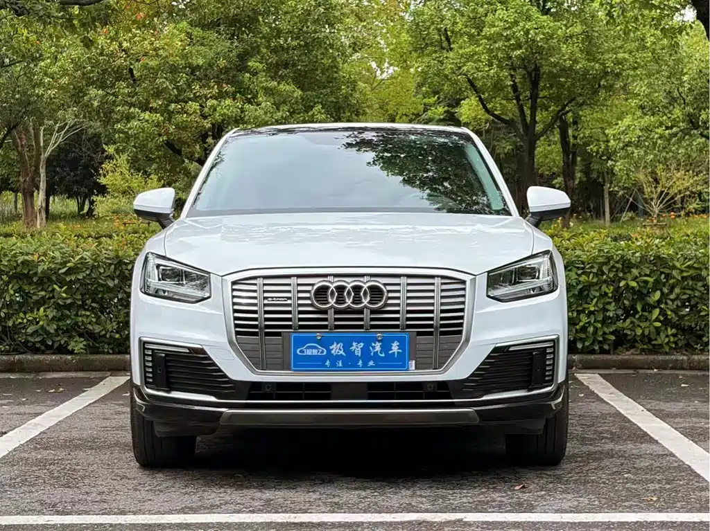 Audi Q2L E-Tron 2021