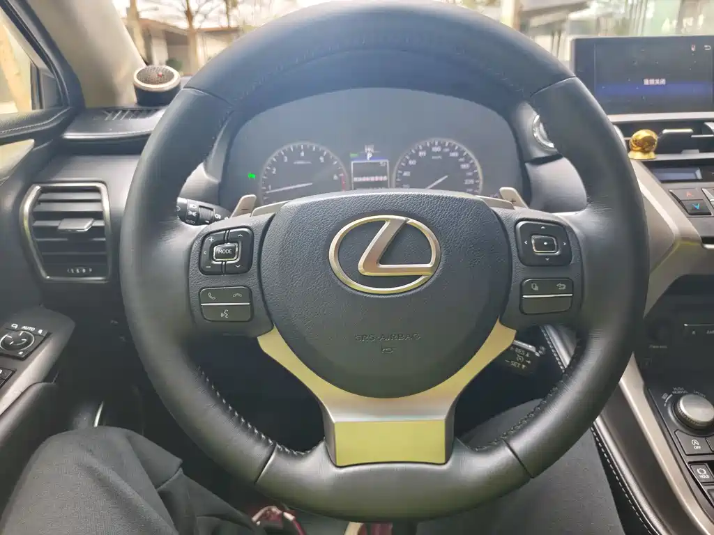 Lexus NX 2017 — фото 18