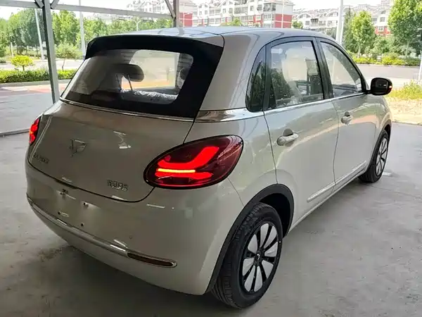 Wuling Bingo 2024