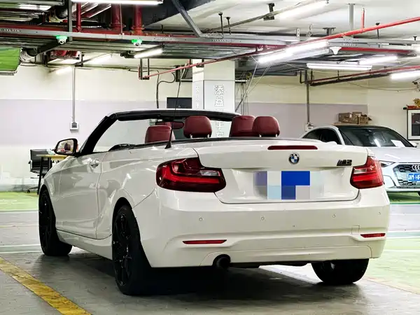 BMW 2 Series 2017
