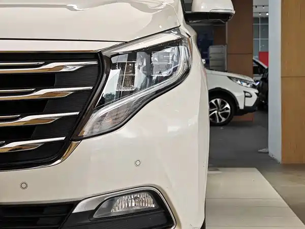 GAC Trumpchi M8 2018