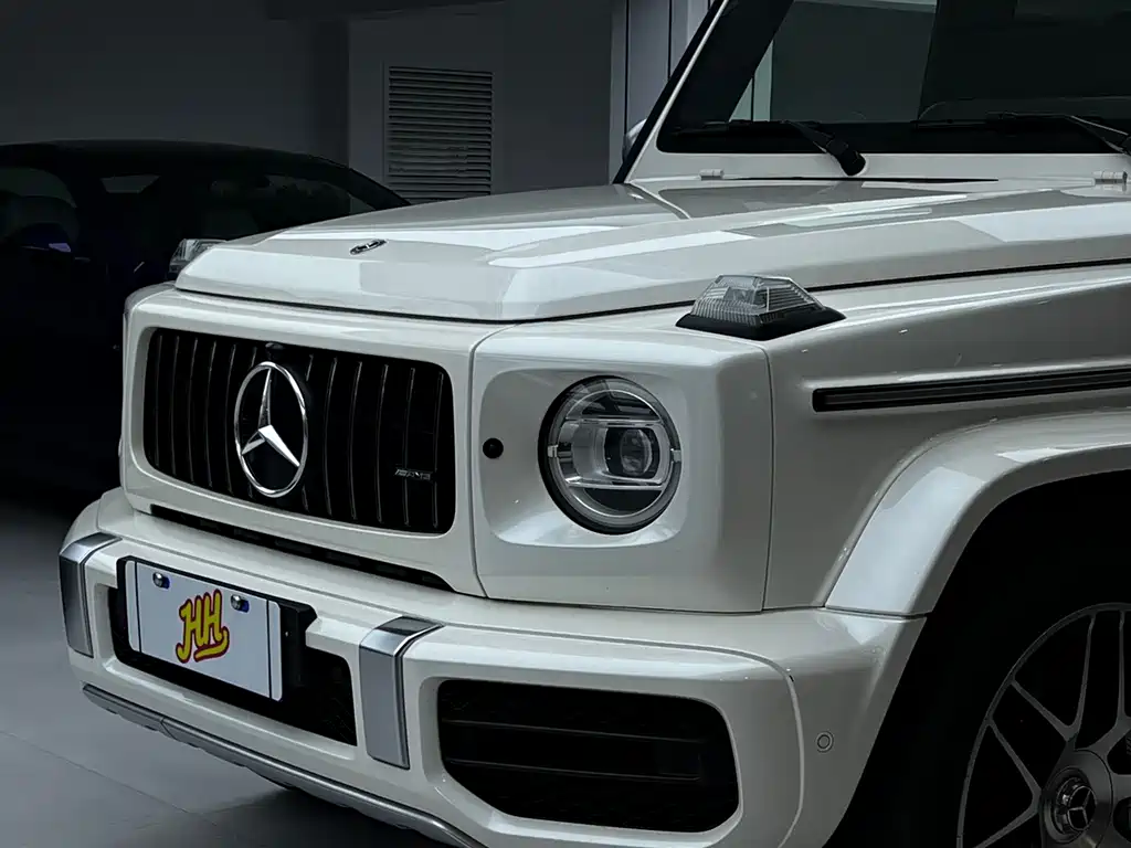Mercedes-Benz G-Class AMG 2020 — фото 28
