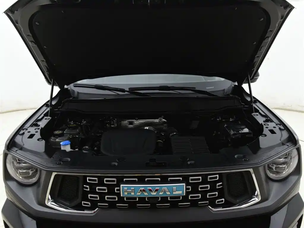 Haval Dargo PLUS EV 2024 — фото 12
